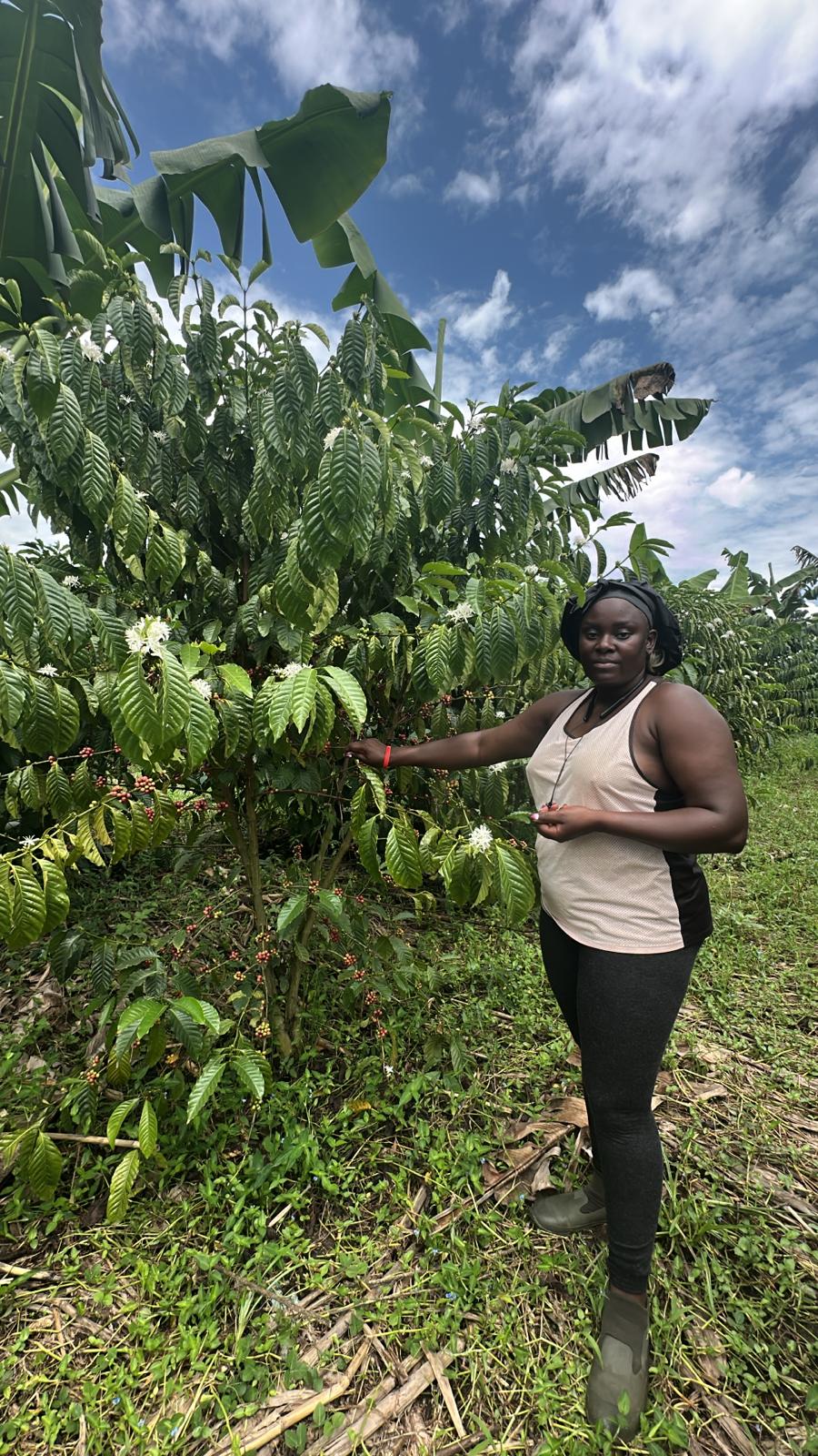 Arigato Farm in Uganda